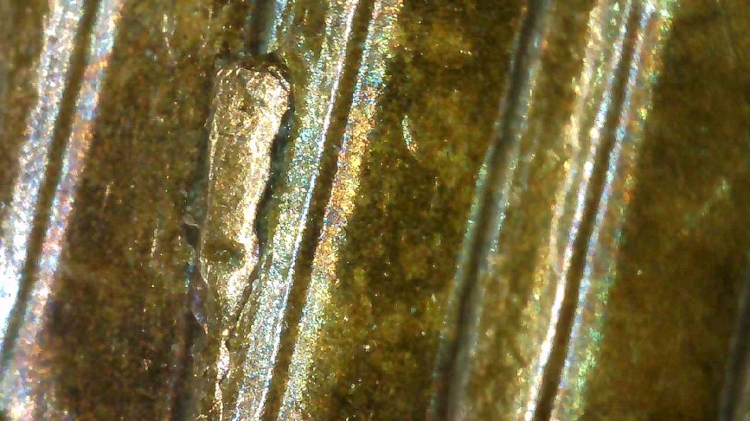 1972-D-LMC-Critter-Crawling-Up-Column,-Cud-Or-Chip?