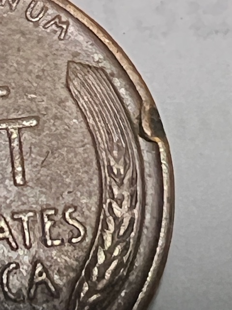 1952-D-Penny--Edge-Damage?