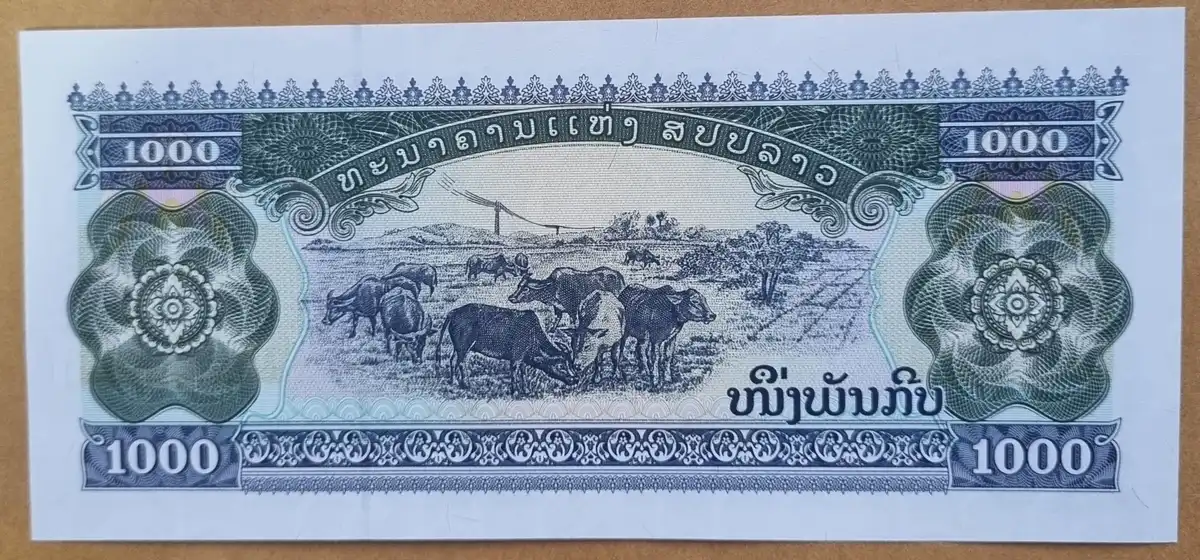 New-Coin-Purchases,-Slerk