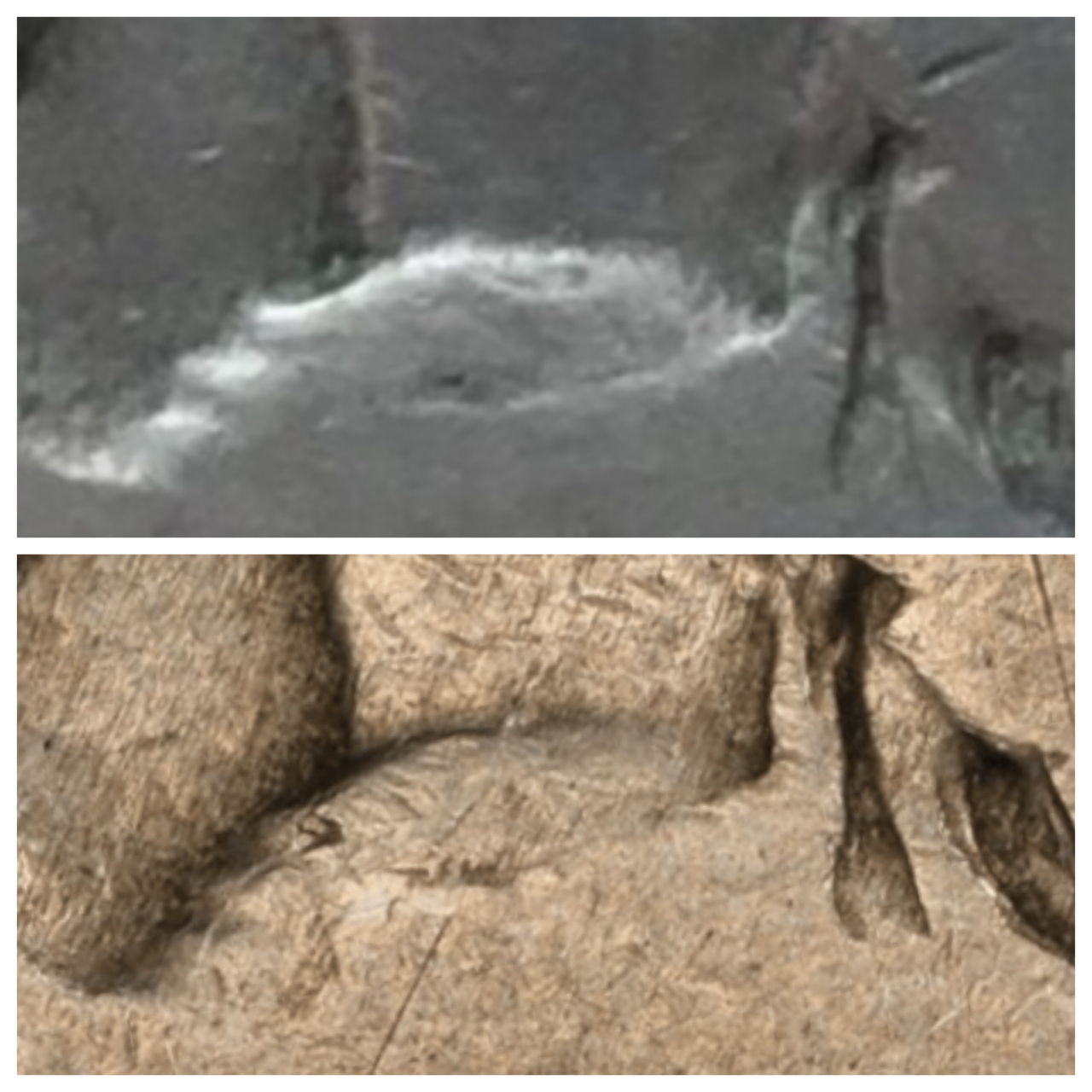 1916-Buffalo-Nickel-DDO-Verification-Just-From-The-Mound?