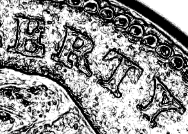 1916-Buffalo-Nickel-DDO-Verification-Just-From-The-Mound?