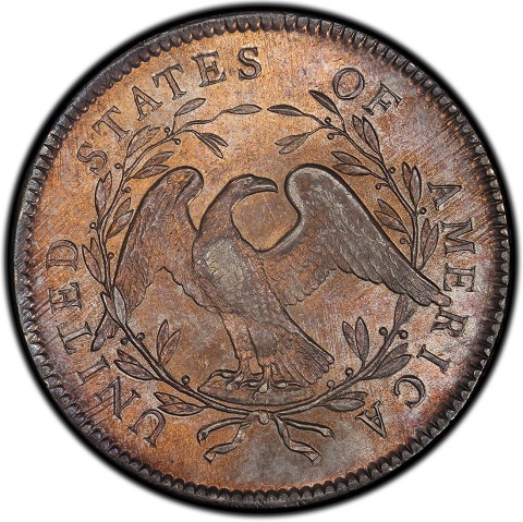 One-Dollar-1795,-In-Bad-Condition.-Is-It-Worth-Buying?