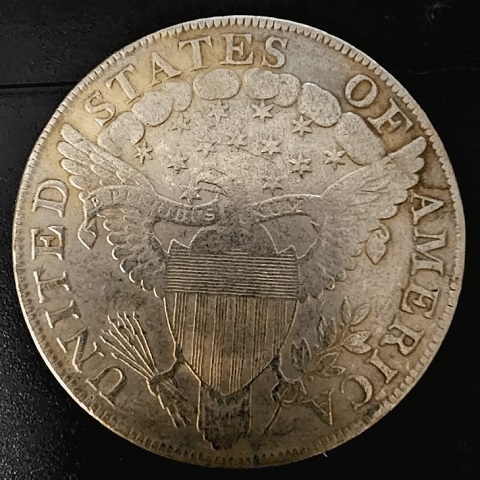 1799-Draped-Bust-Dollar-Real-Or-Fake?