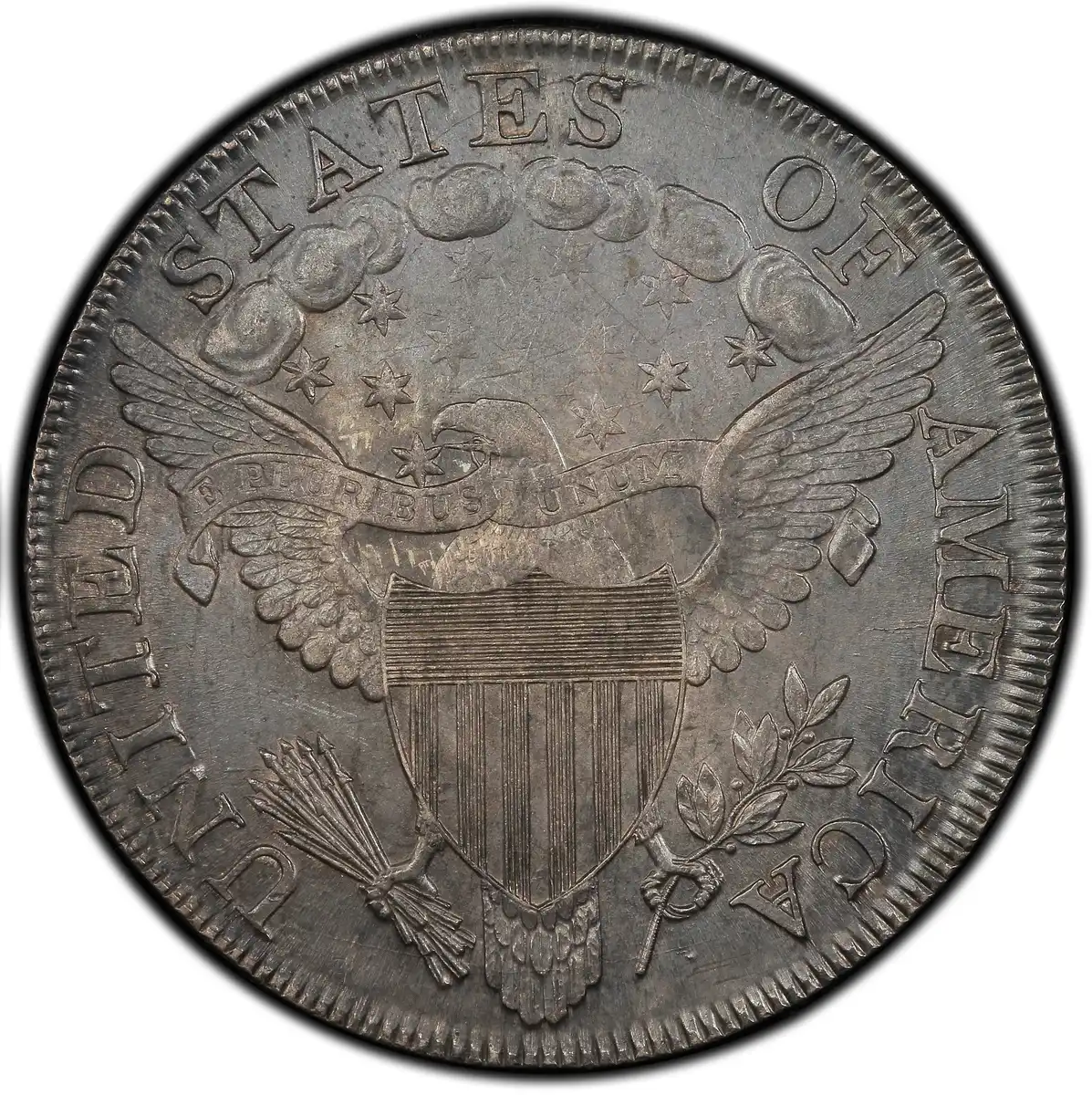 1799-Draped-Bust-Dollar-You-Vs-PCGS