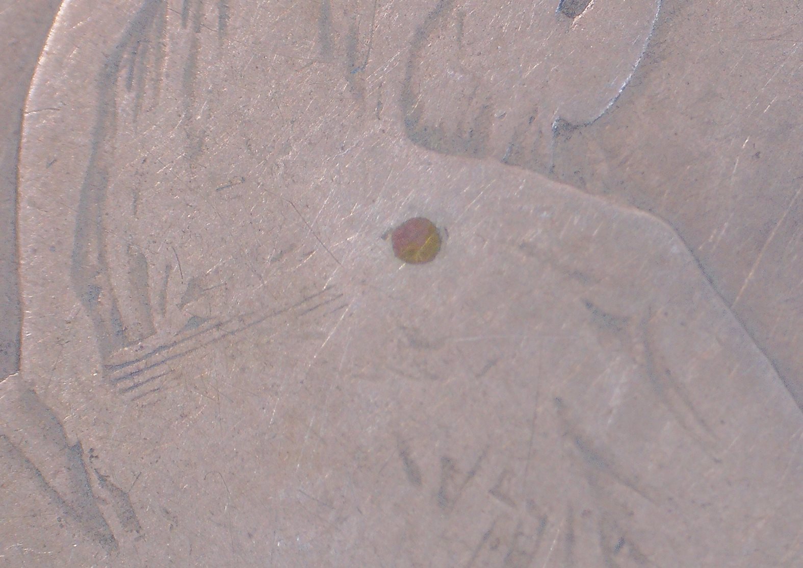 1859-S-No-Motto-Seated-Half-Dollar-?