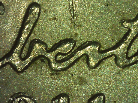 2011-D-Jefferson-Nickel-Is-This-Just-MD-On-The-Obverse-And-Reverse