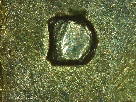 1979-D-Quarter-Possible-RPM