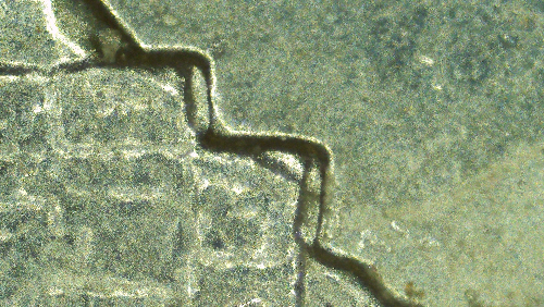 2015-P-Blue-Ridge-Parkway-Quarter-Possible-WDDR-001?