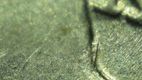 1994-D-Dime-Possible-Doubling-Inside-Of-Ear-And-Something-On-Neck