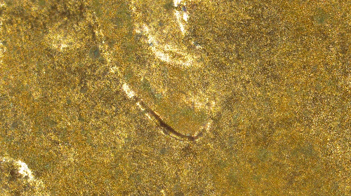 2014-Lincoln-Cent-Is-This-Just-MD-On-Lincolns-Ear