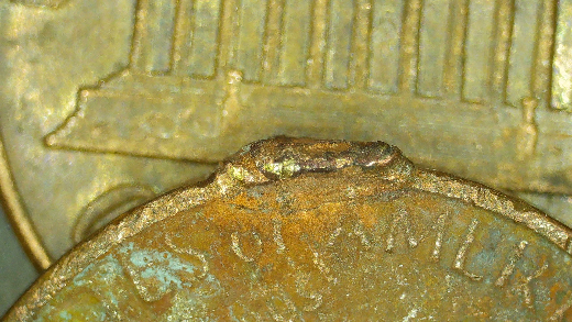 1981-LMC-Coin-Is-In-Terrible-Shape-Not-Worth-2x2-But-Am-Curious-As-To-What-Is-On-The-Rim,-Cud?
