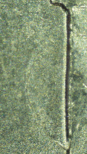 2021-P-Nickel-With-Die-Chips-Of-Left-Side-Of-Monticello-And-Faint-Beehive