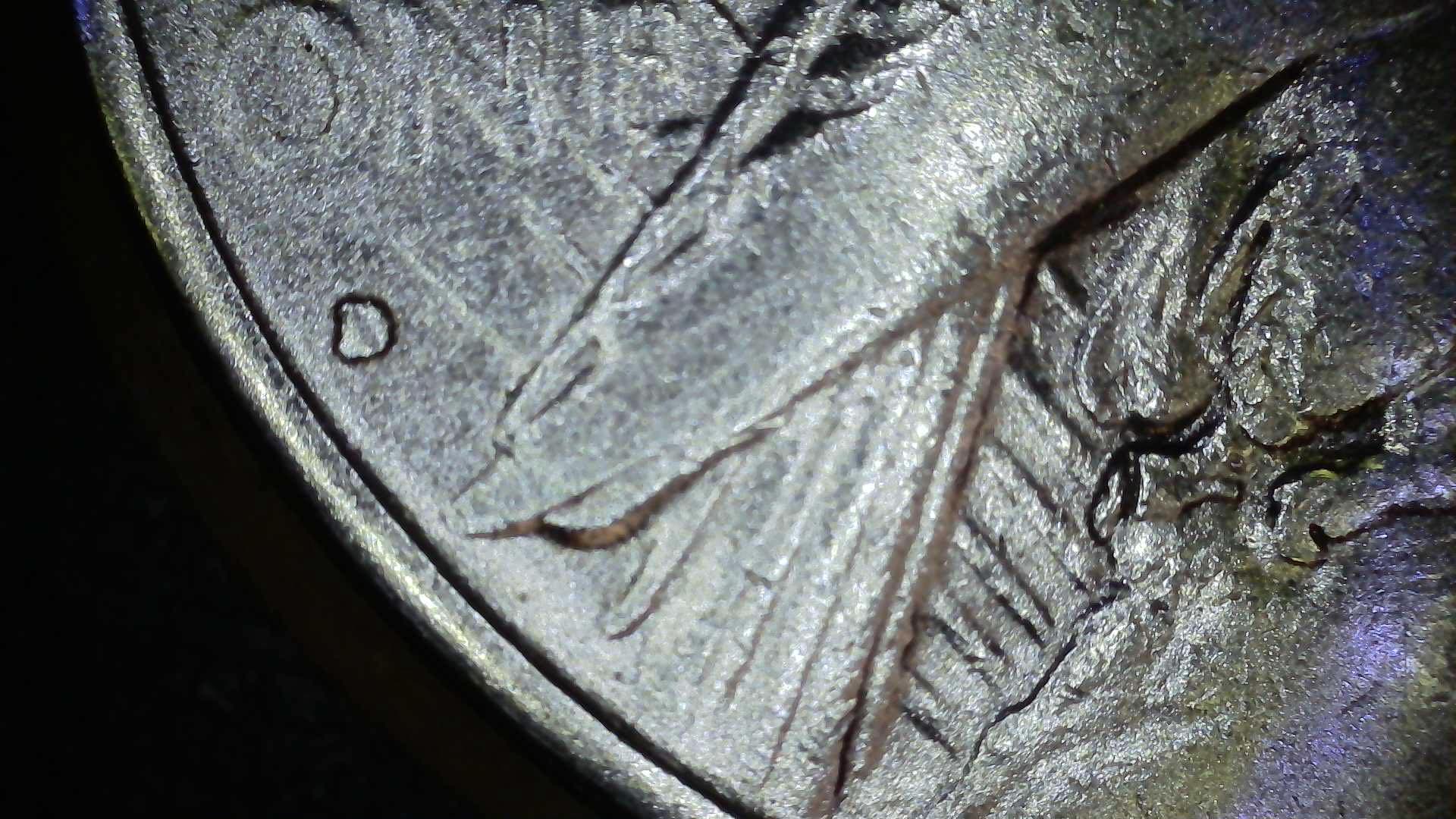 1934-D-Peace-Dollar-VAM-3-Questions
