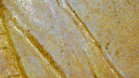 1974-LMC-Penny-/-DDO-Or-Worthless-Anomaly?