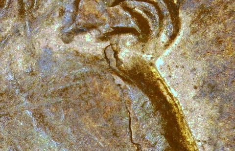1999-LMC-Penny-Combo-/-BIE-And-Retained-Interior-Die-Break