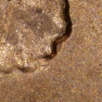 2024-LSC-Penny-/-WDDO-001