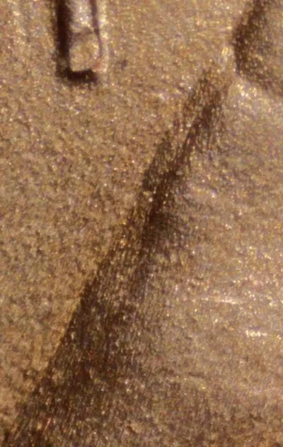2024-LSC-Penny-/-WDDO-001