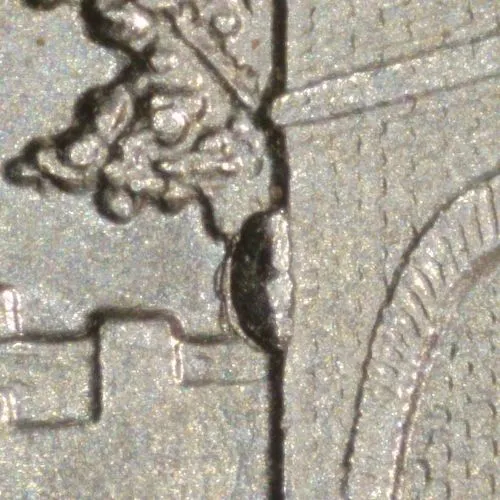 2016-P-Quarter-/-H.f.,--W.v.-/-WDDR-020