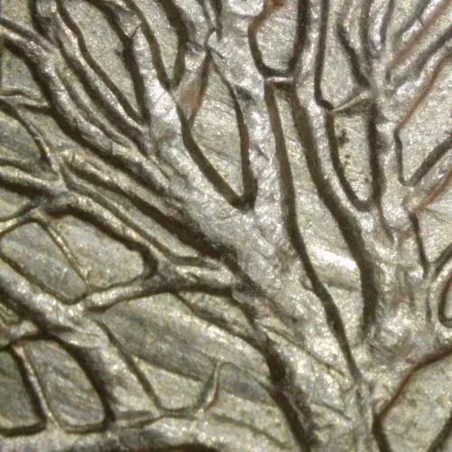 1999-P-Quarter,-Conn.-/-Die-Abrasion