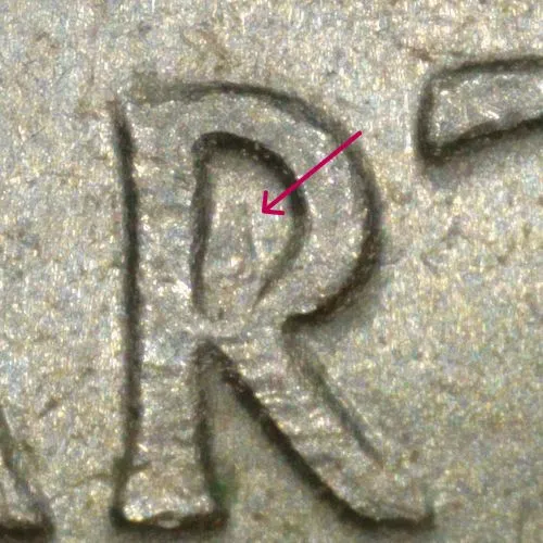 CRH-Quarters:-My-New-Adventure!