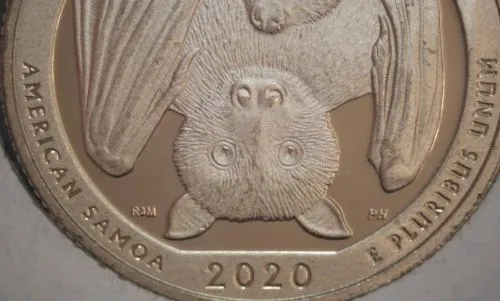 Fun-Find:-2020-S-Quarter-/-American-Somoa-/-Proof