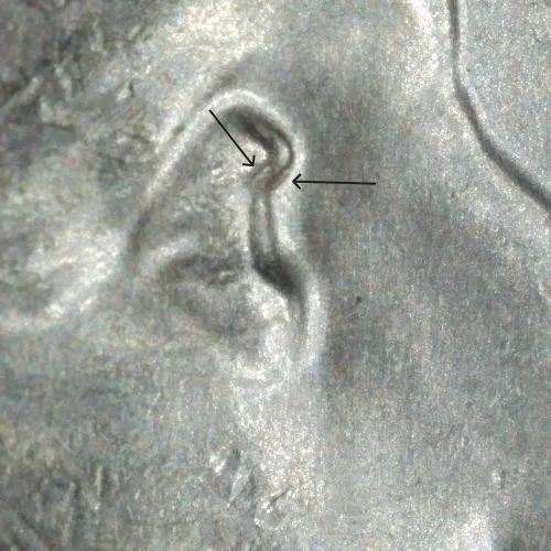 2023-P-Quarter,-E.-R.-/-New-DDO?-/-Tripling-Of-The-Eye?