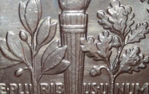 2021-P-Roosevelt-Dime-/-Field-Restricted-Struck-Through-Error