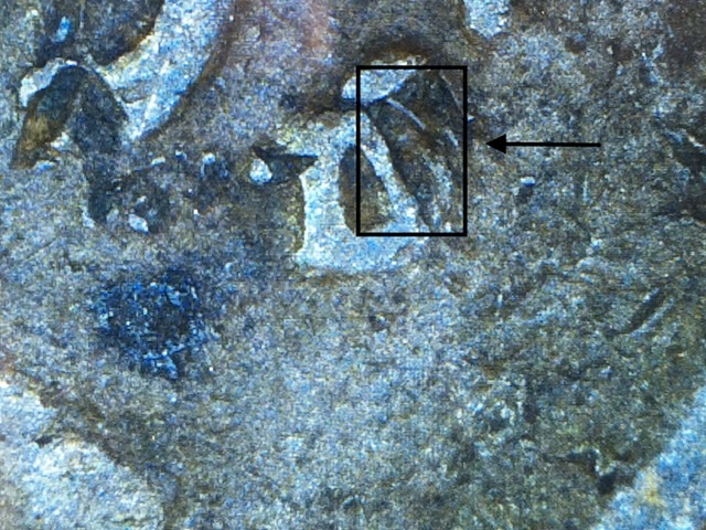 Damaged-44-D-LWC-Revealed-An-S-MM-Under-D-MM,-And-Another-S-MM-Below?