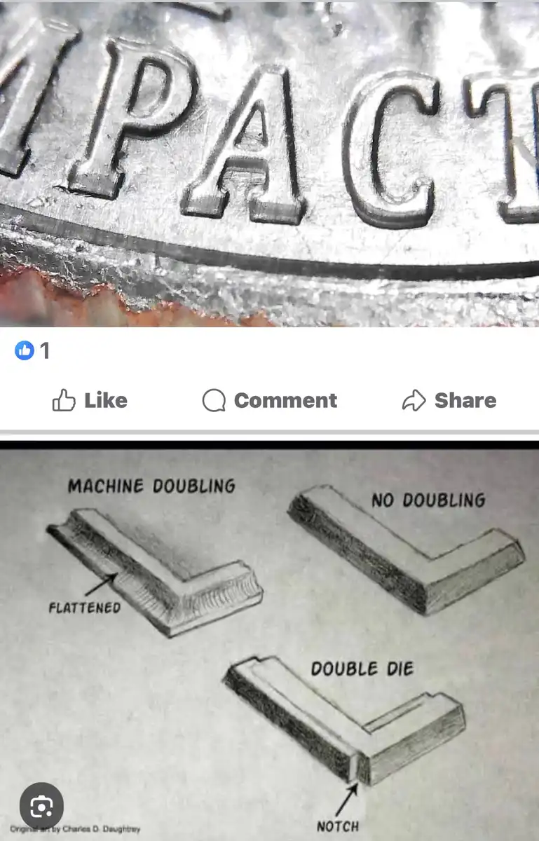 New-Member-&-1958-Double-Die-Opinions