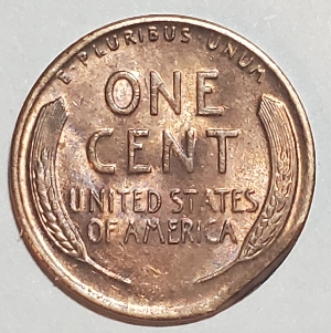 1929-Wheat-Penny-Error-Or-Post-Mint-Damage