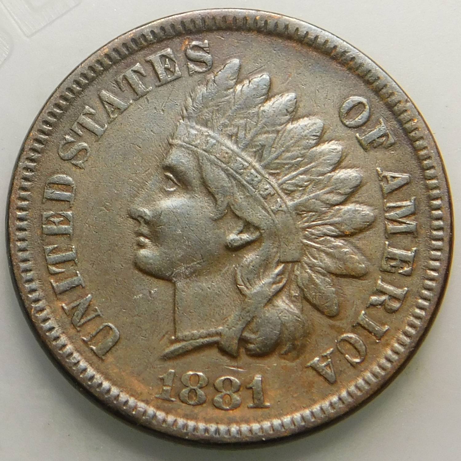 1881-IHC-Strange-Appearance-Around-Forehead-And-Feather-Tips