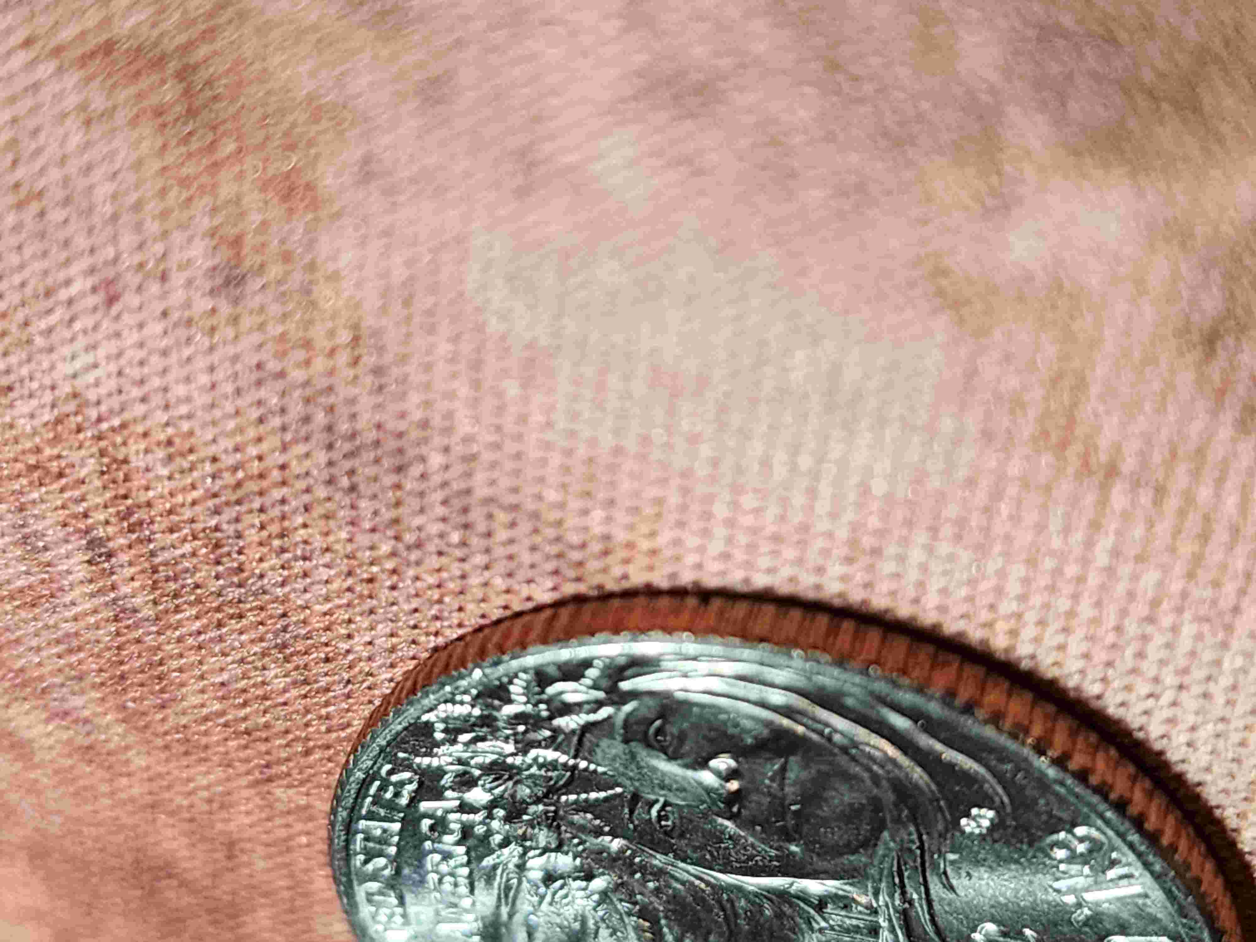 2023-Edith-Quarter-Error-On-Edith-Nose