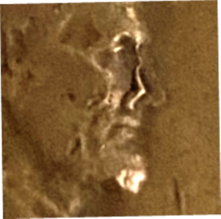 1944-S-Penny-With-No-Nose