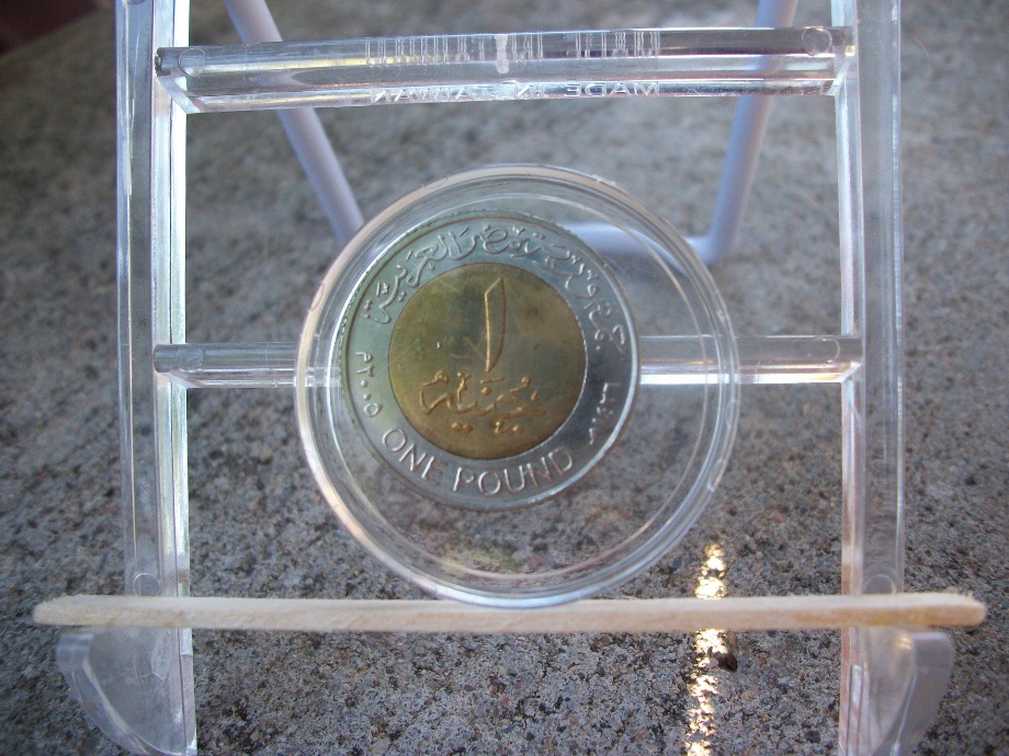 Egypt-1-Pound-Struck-On-Magnectic-Wrong-Plan