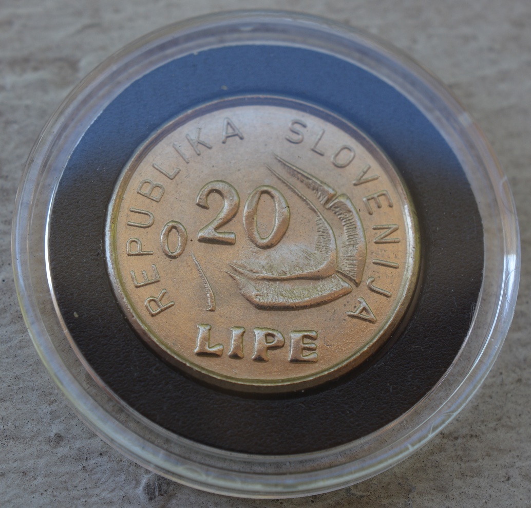 Post-Your-Coins-Depicting-Insects