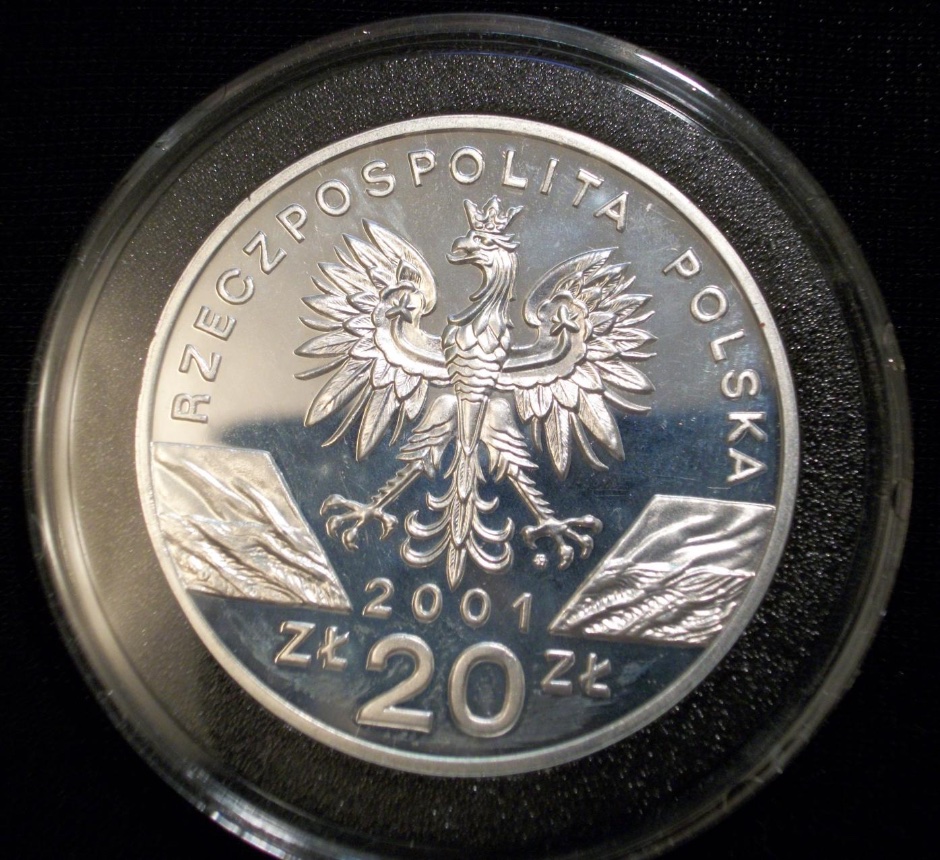 Post-Your-Coins-Depicting-Insects