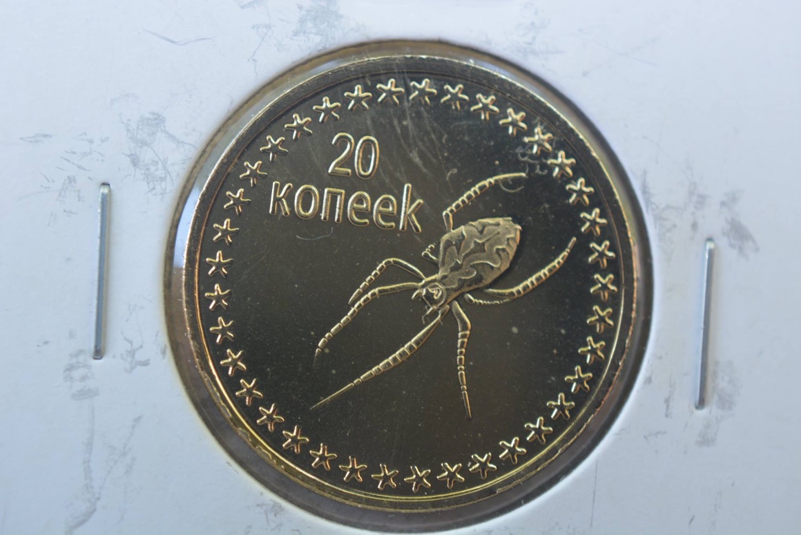 Post-Your-Coins-Depicting-Insects