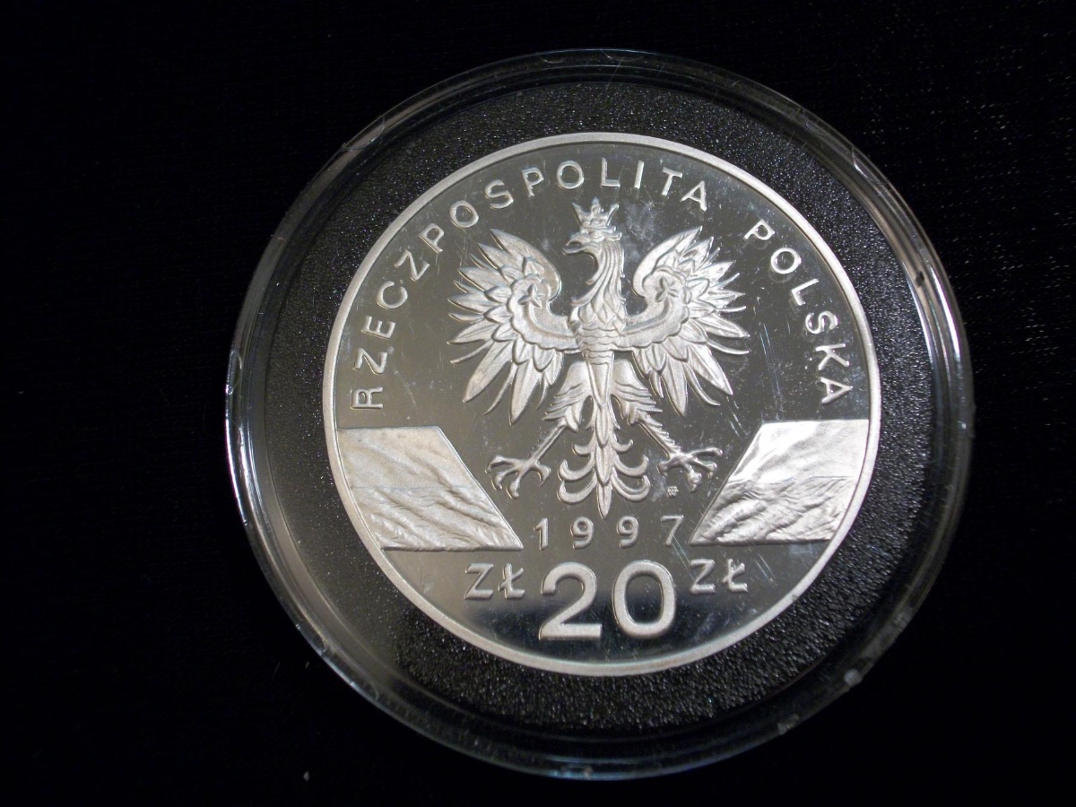Post-Your-Coins-Depicting-Insects