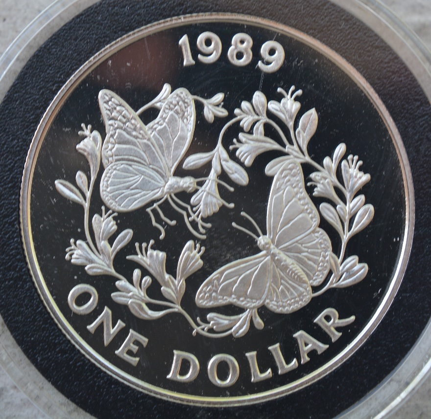 Post-Your-Coins-Depicting-Insects