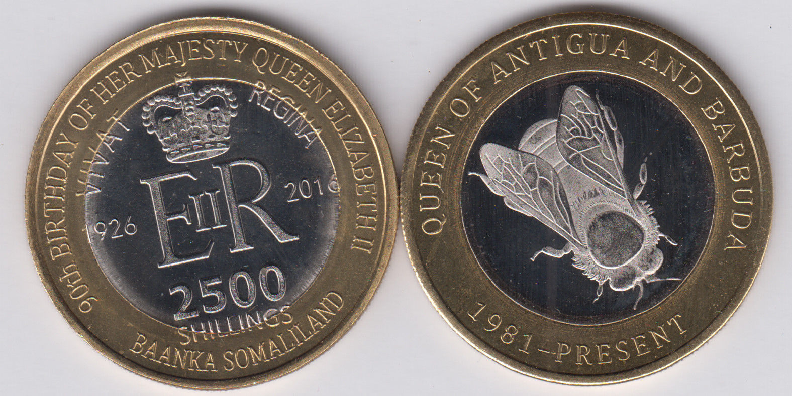 Post-Your-Coins-Depicting-Insects