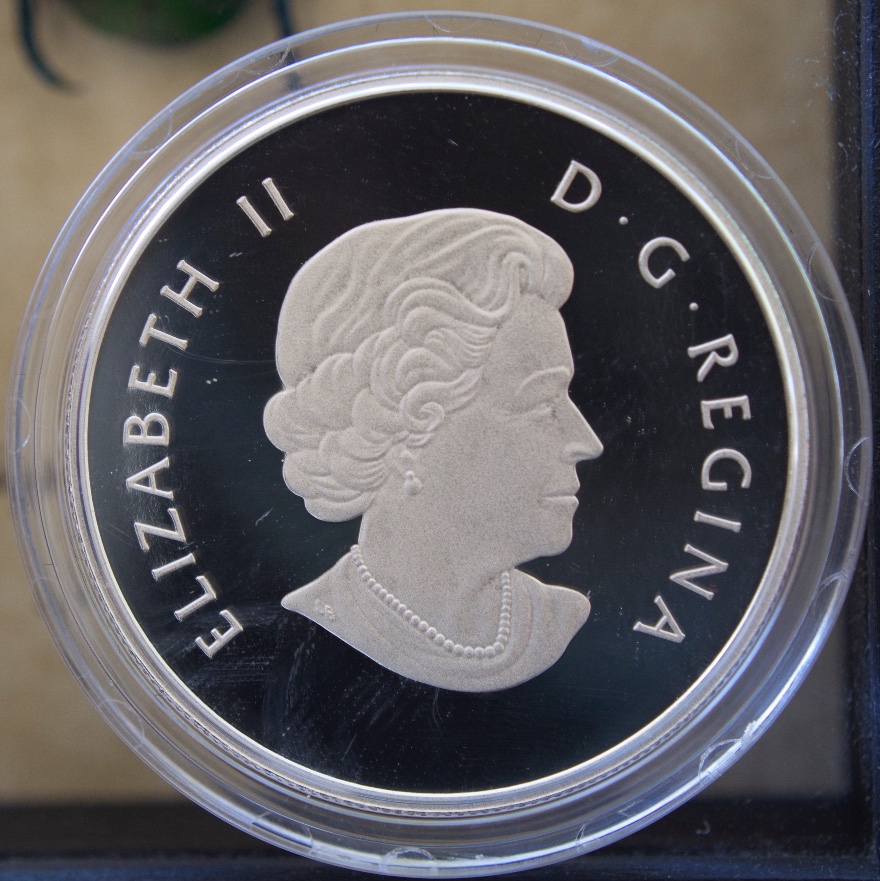 Post-Your-Coins-Depicting-Insects