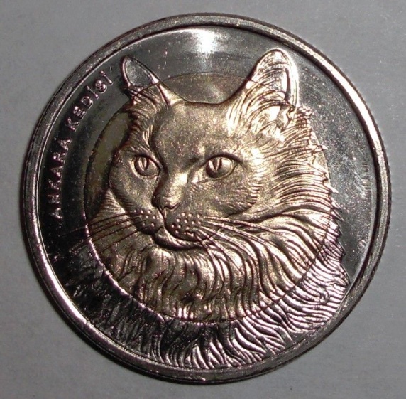 Post-Your-Coins-Representing-The-Animal-Kingdom.