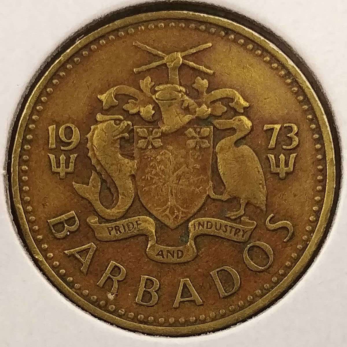 166-Days-Of-Yakko's-World-Coins