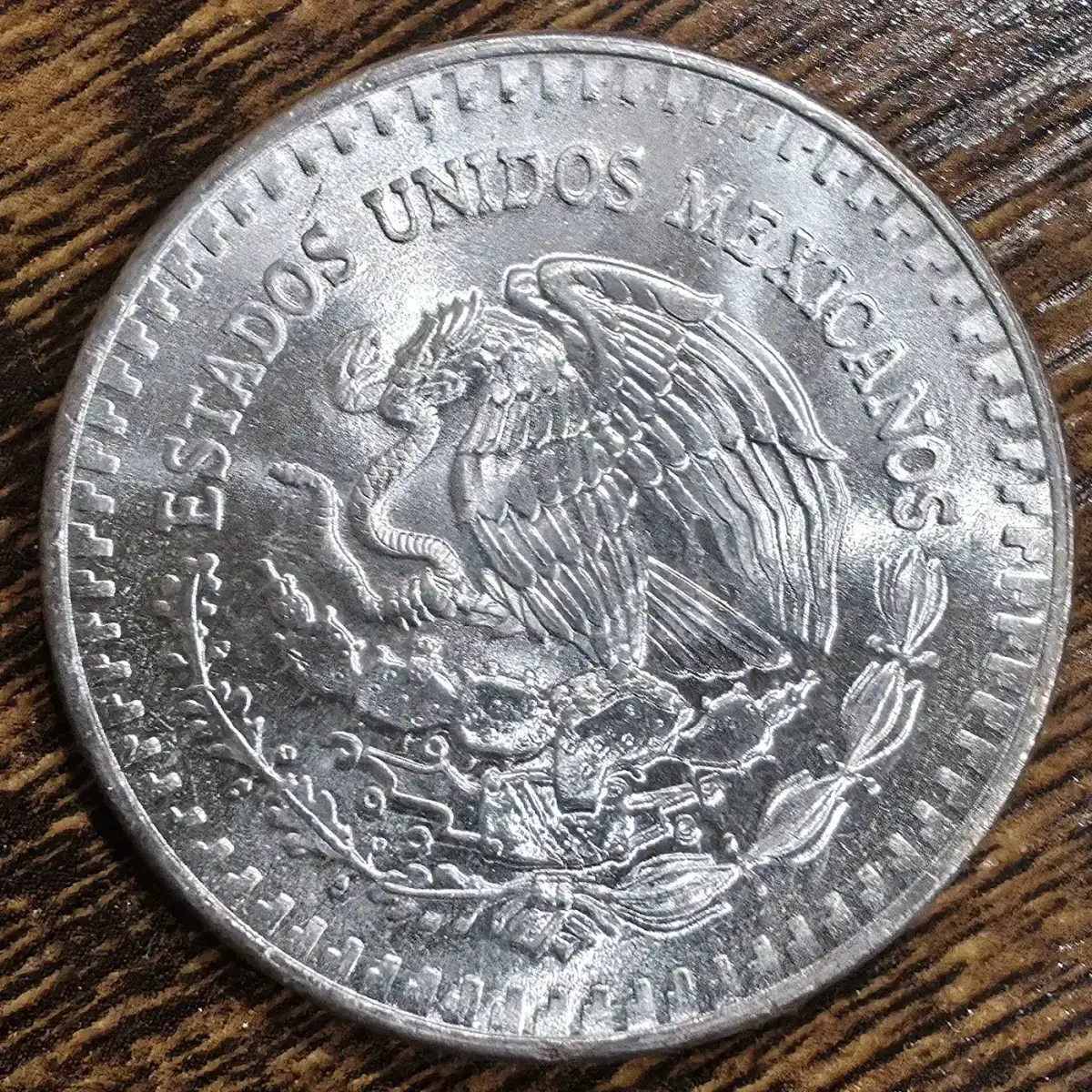 What-Did-You-Add-To-Your-Stash-Today?