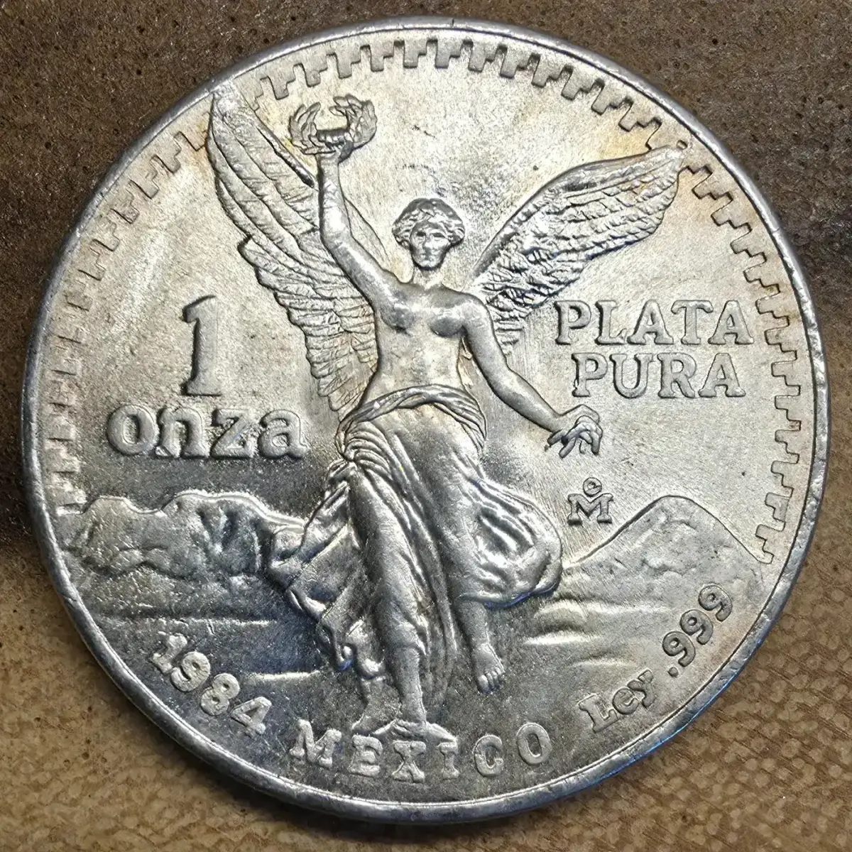 What-Did-You-Add-To-Your-Stash-Today?