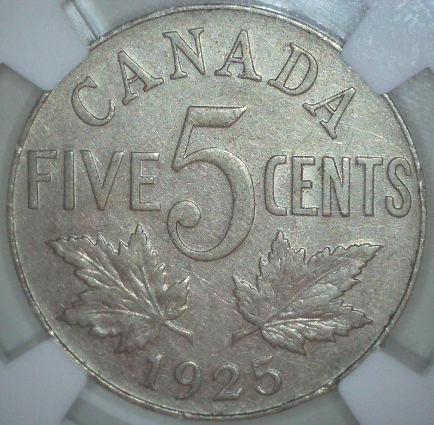 You-Vs-NGC-1925-5-Cent