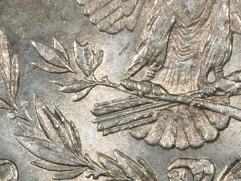 1879-P-VAM-79-Morgan-Dollar-Newp