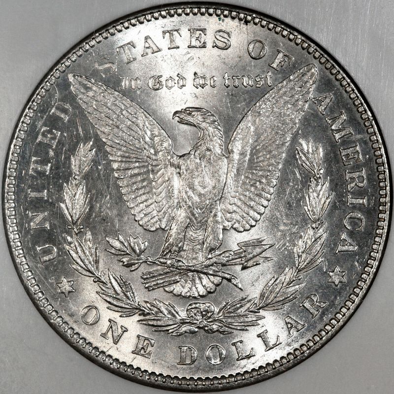 28-Days-Of-Morgans