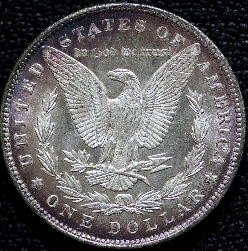 The-28-Days-Of-Morgan-Dollars!-Act-II