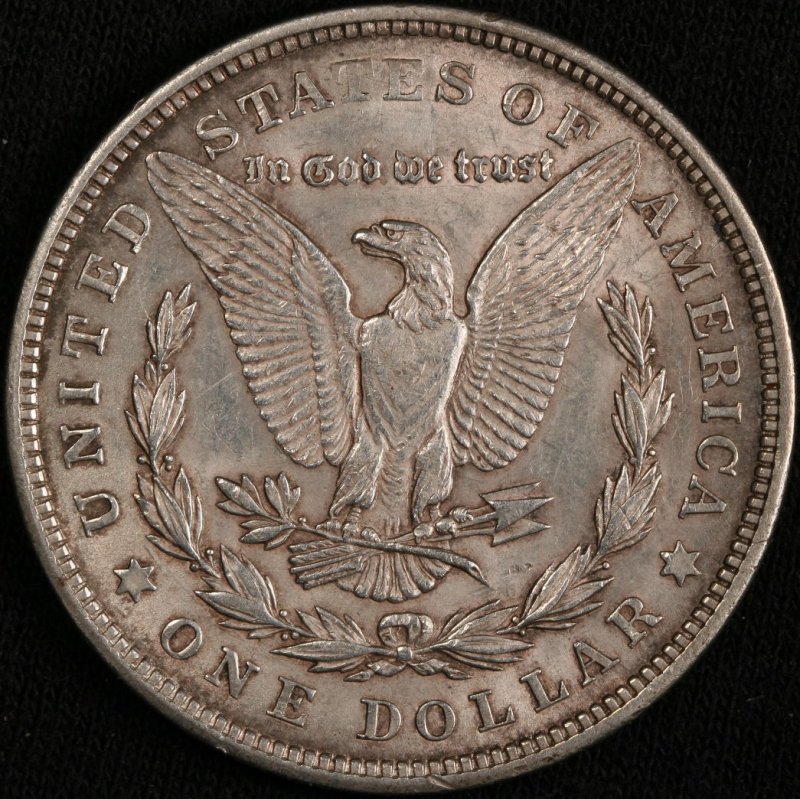 An-Interesting-Morgan-From-My-Archives